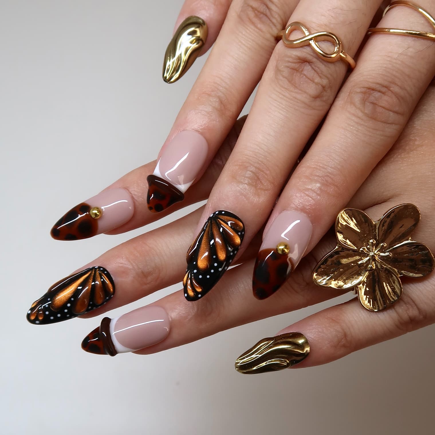 Butterfly Eclosion