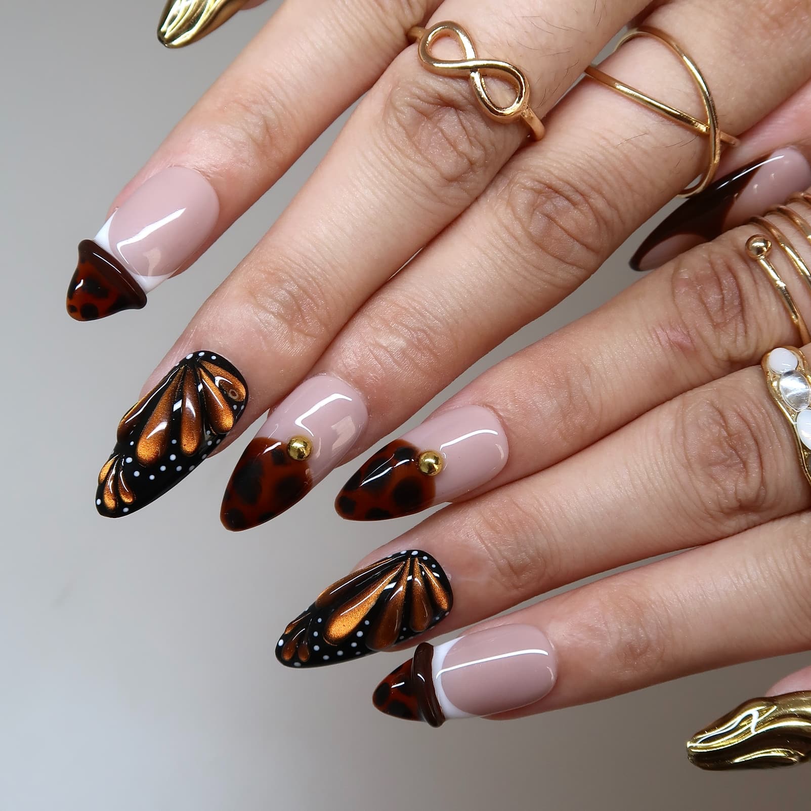 Butterfly Eclosion