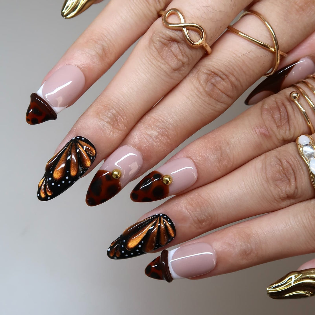 Butterfly Eclosion