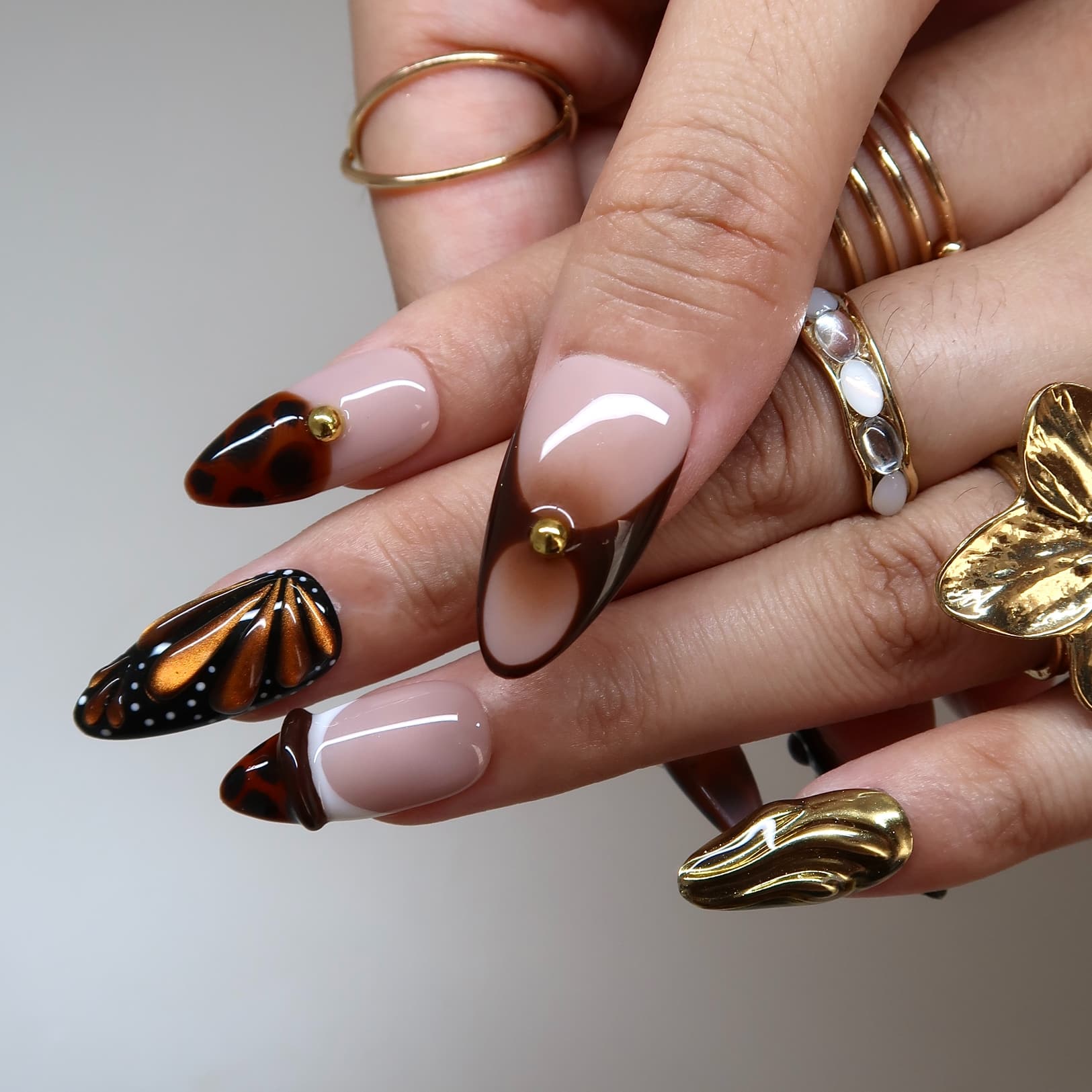 Butterfly Eclosion