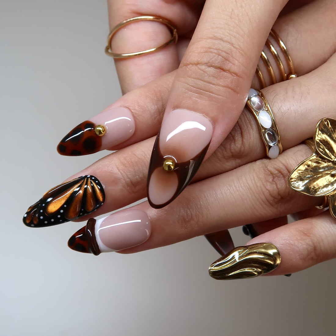 Butterfly Eclosion