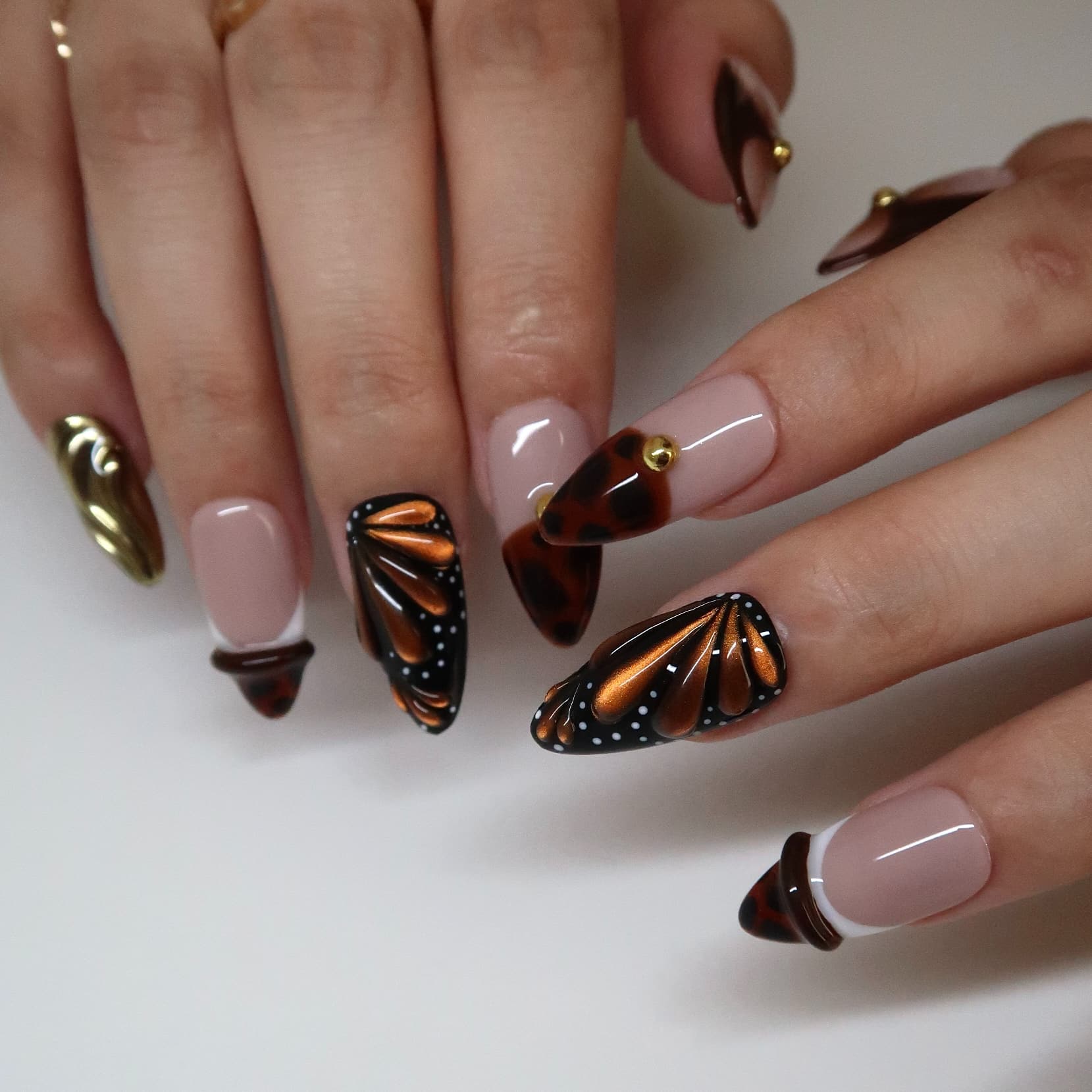 Butterfly Eclosion