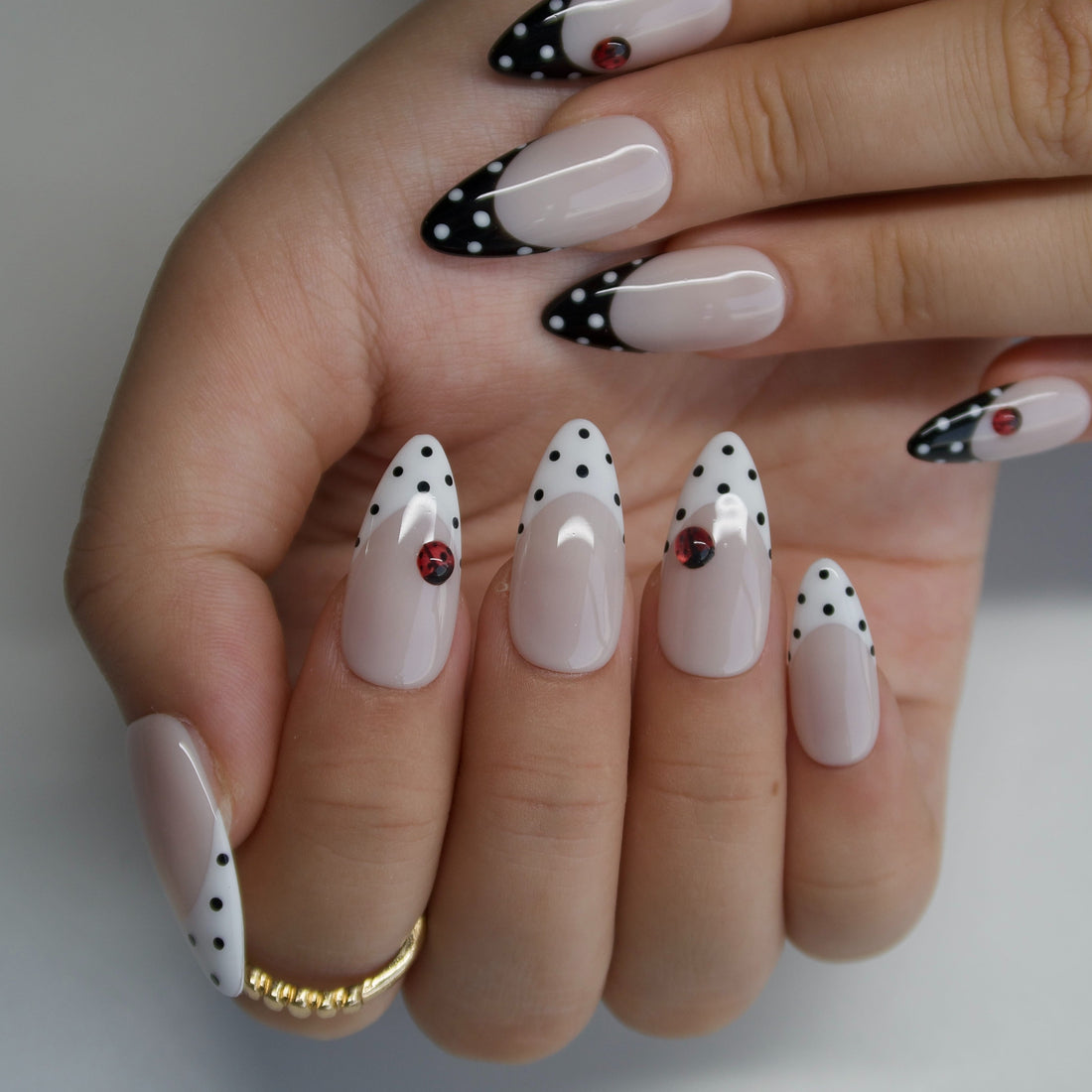Ladybug